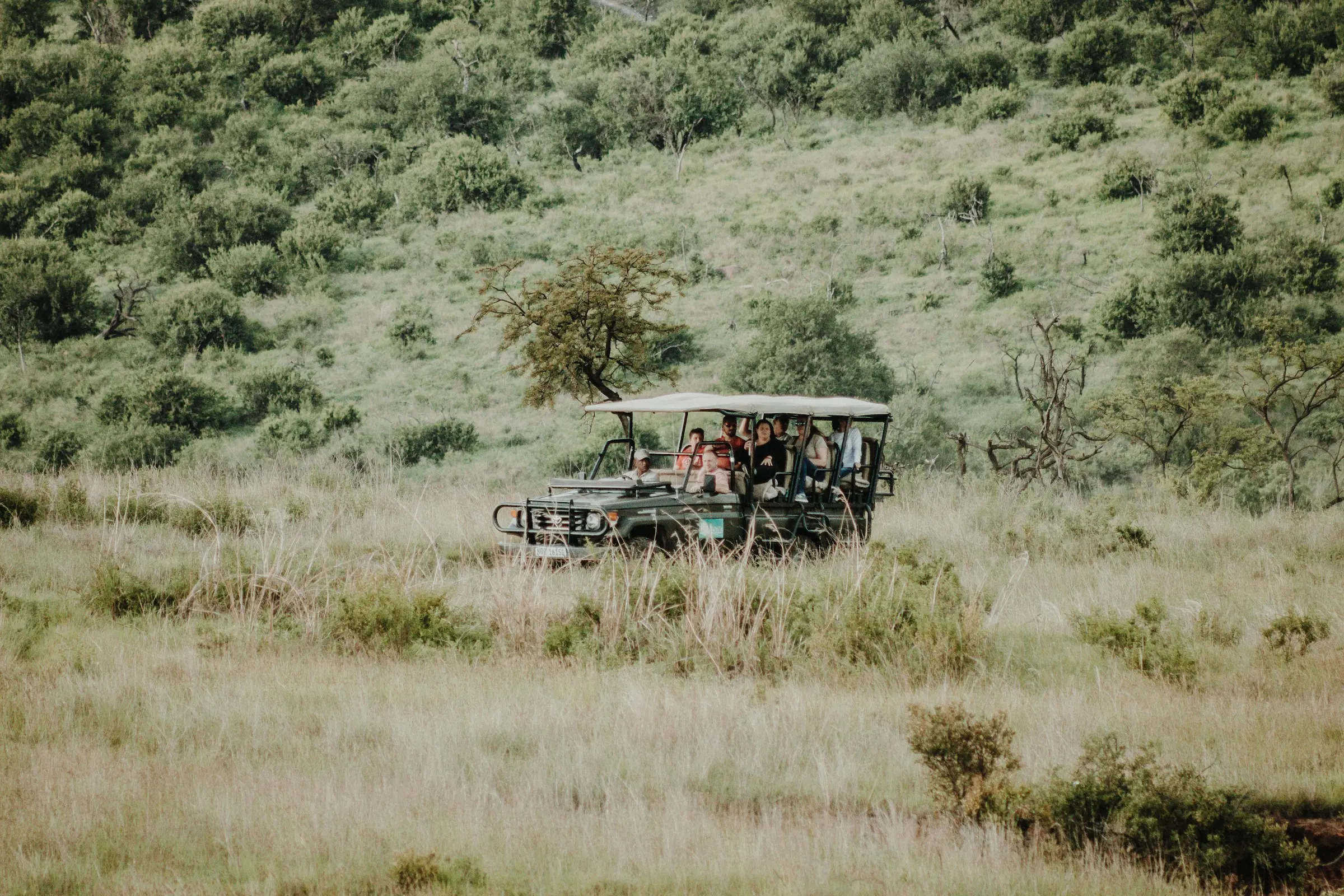 Community-focused travel experience