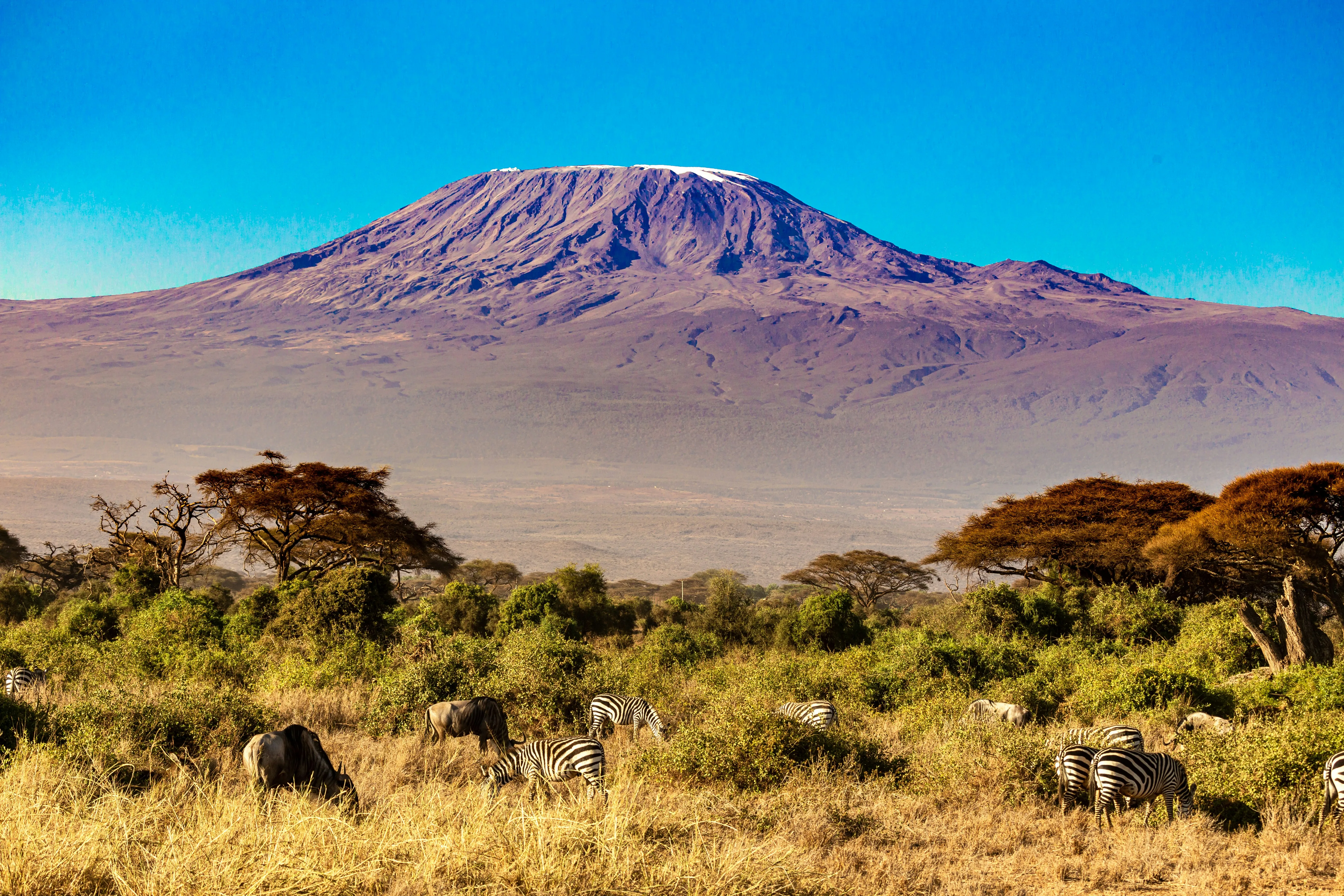 Amboseli in Kenya