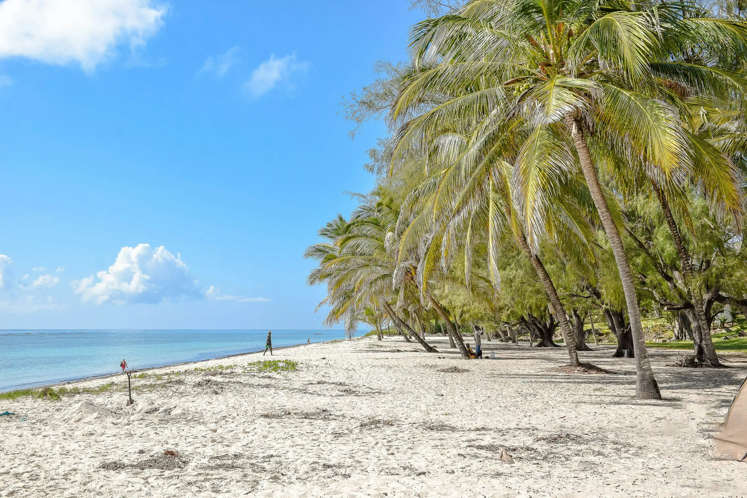 Diani & The Coast in Kenya