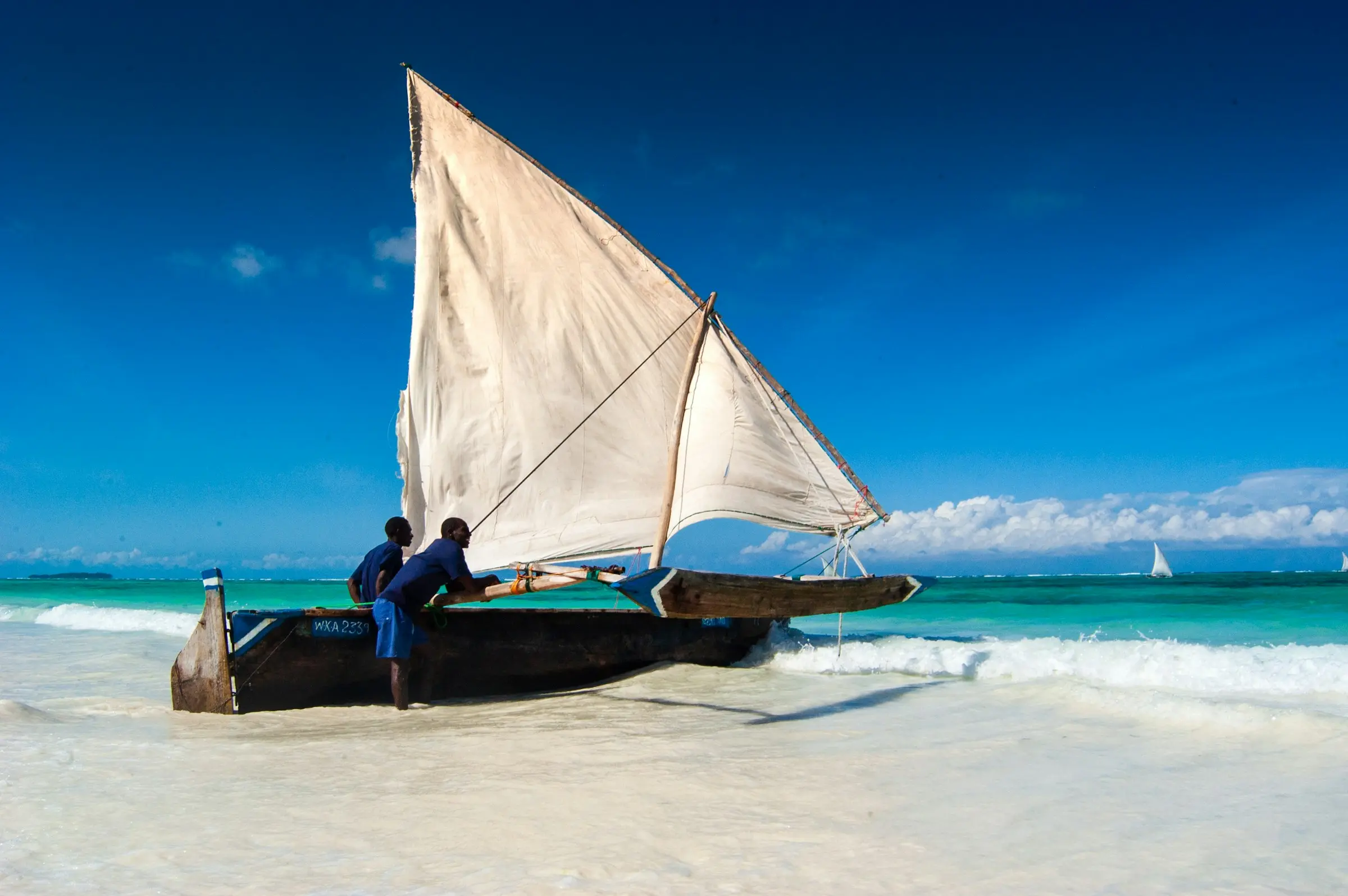 10 Days Tanzania & Zanzibar Luxury Safari safari highlight